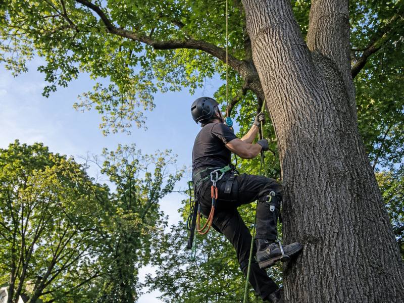 Wood chipper processing branches after a trimming job